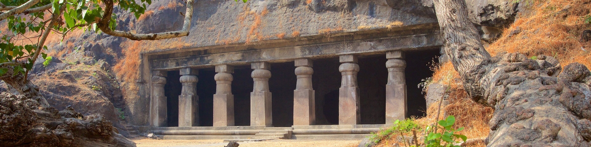 Elephanta Caves showing caves and heritage elements