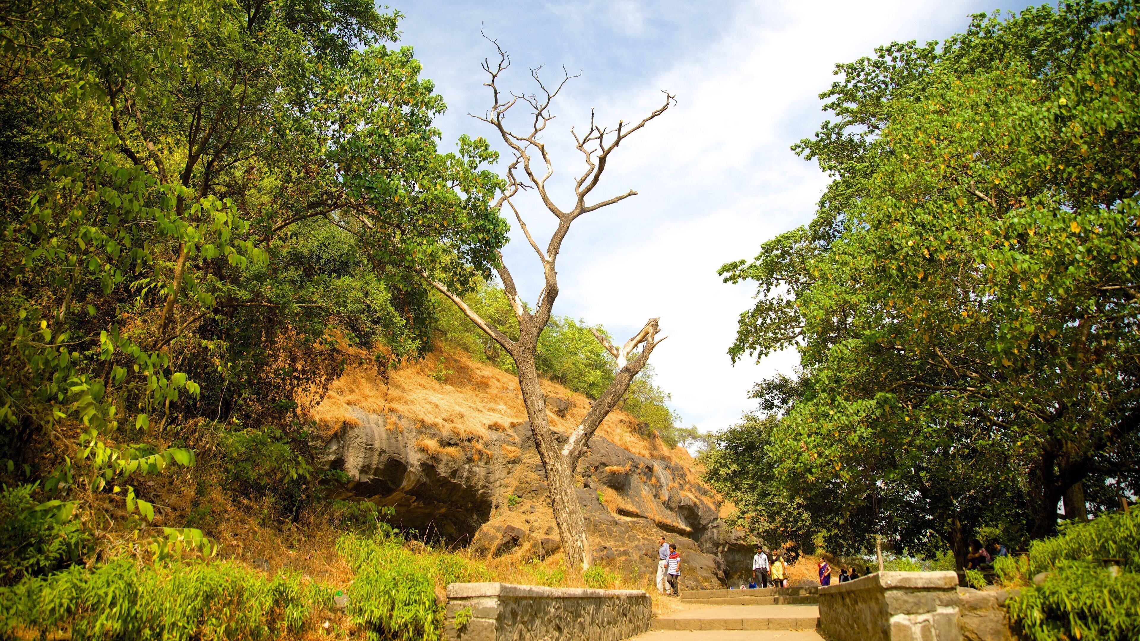 Elephanta Caves featuring tranquil scenes