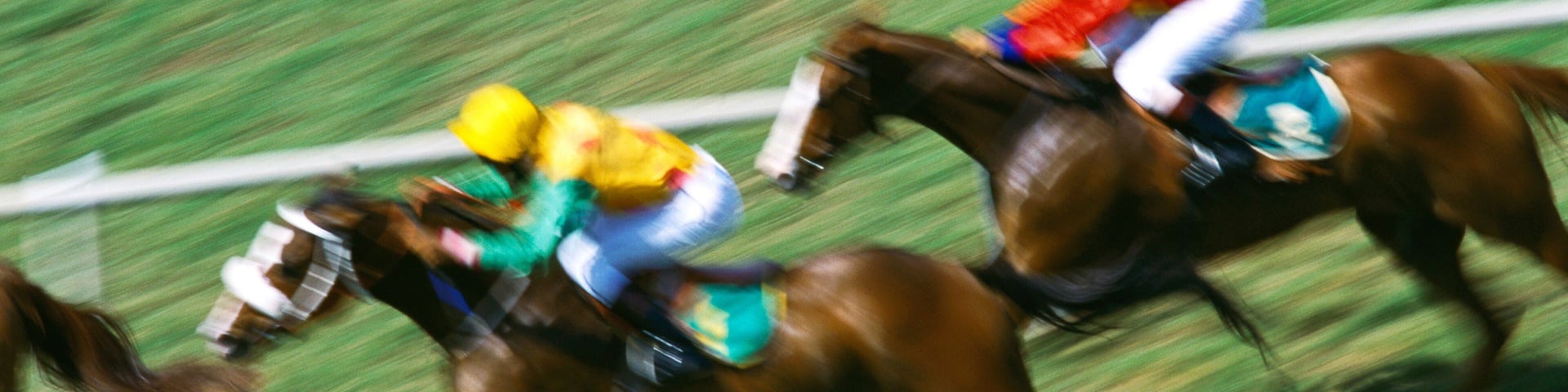 indian races horse racing india