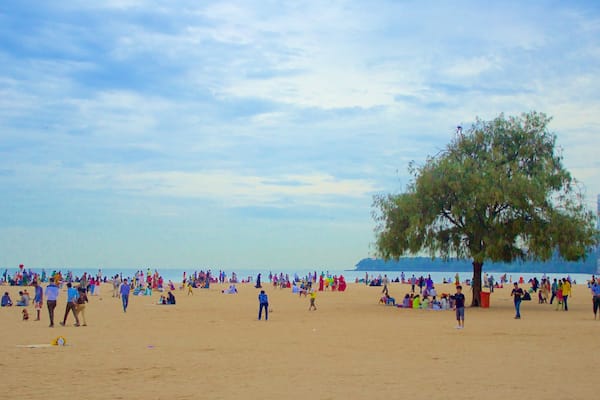 A crowded beach with people, a large tree, and a city skyline in the background.
