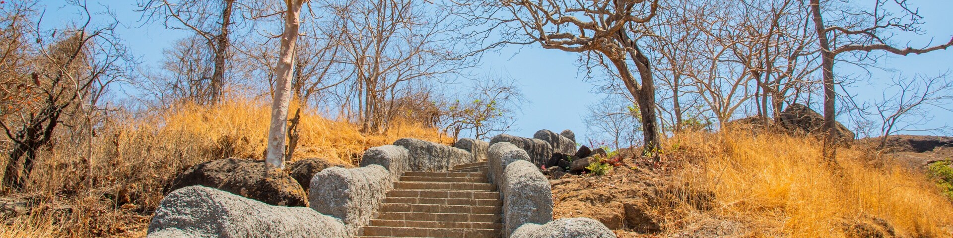 Kanheri Caves featuring a park and tranquil scenes