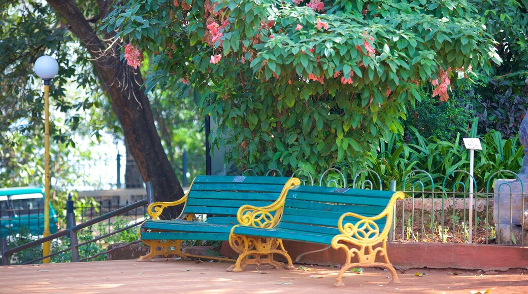 Jardins suspendus montrant parc