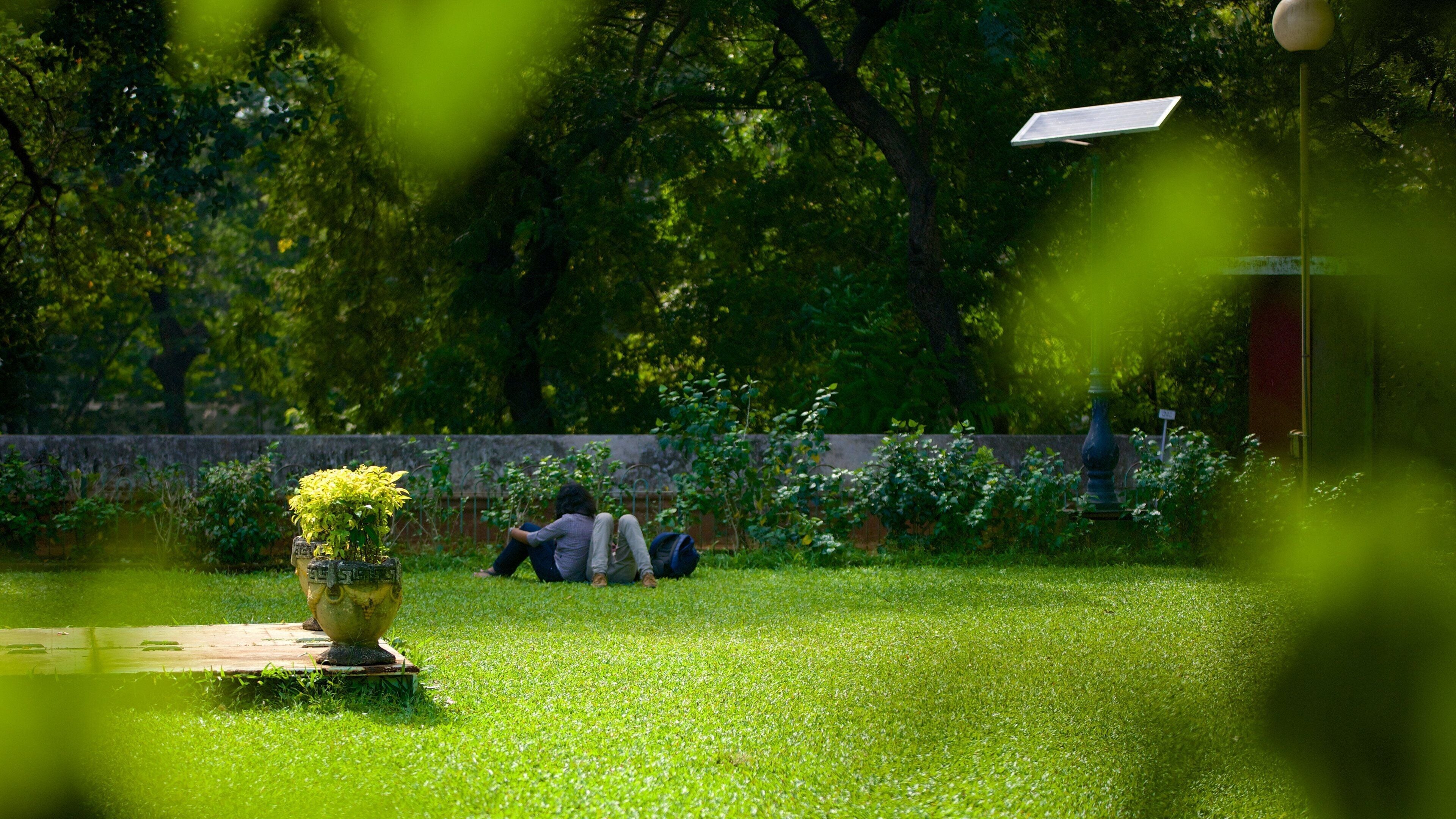 Jardins suspendus qui includes parc