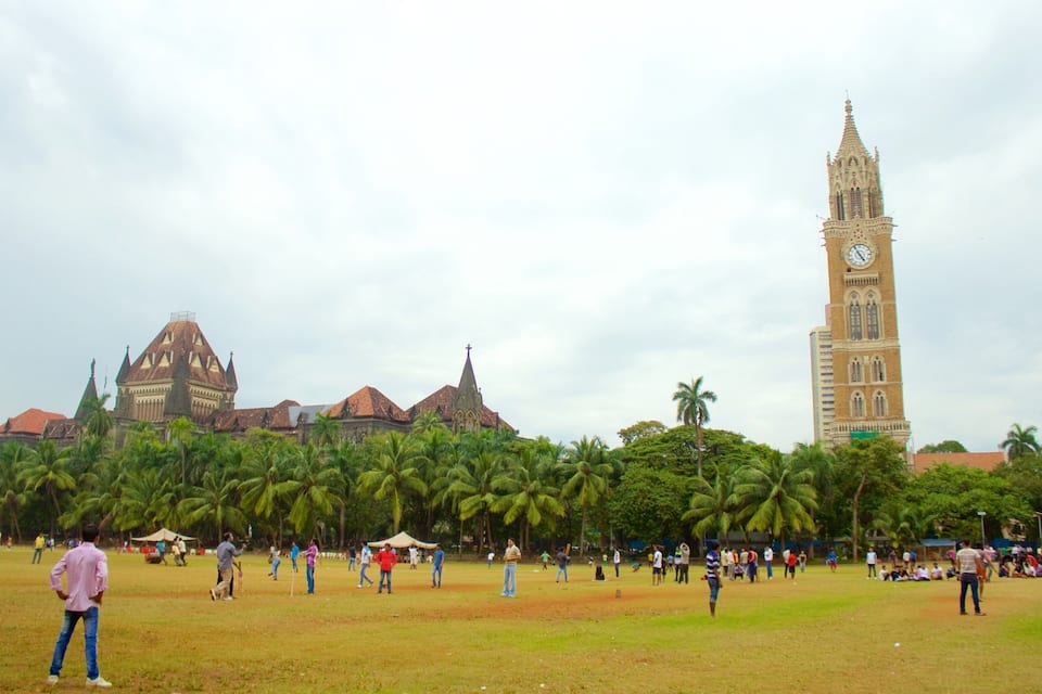 A large open field with palm trees, a clock tower, and historic buildings in the background.