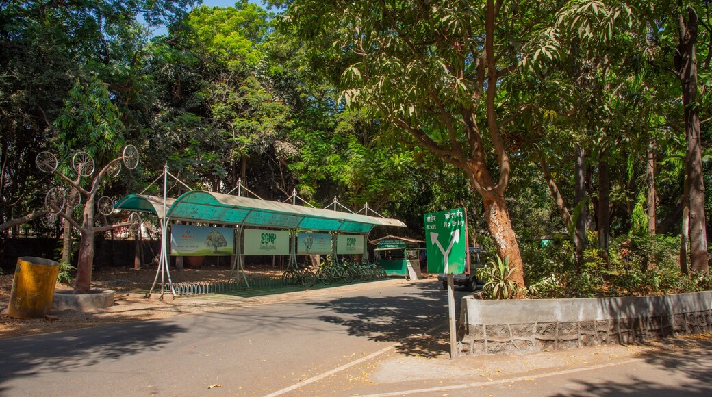 Sanjay Gandhi National Park which includes a garden