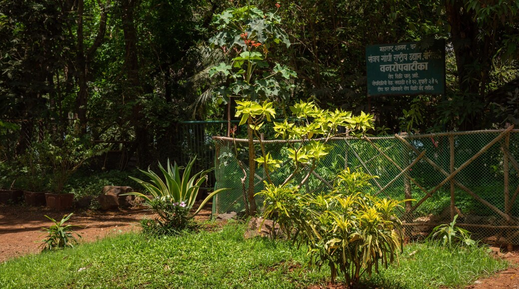 Sanjay Gandhi National Park showing a park