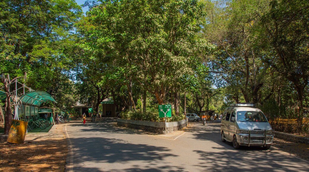 Sanjay Gandhi National Park featuring a garden