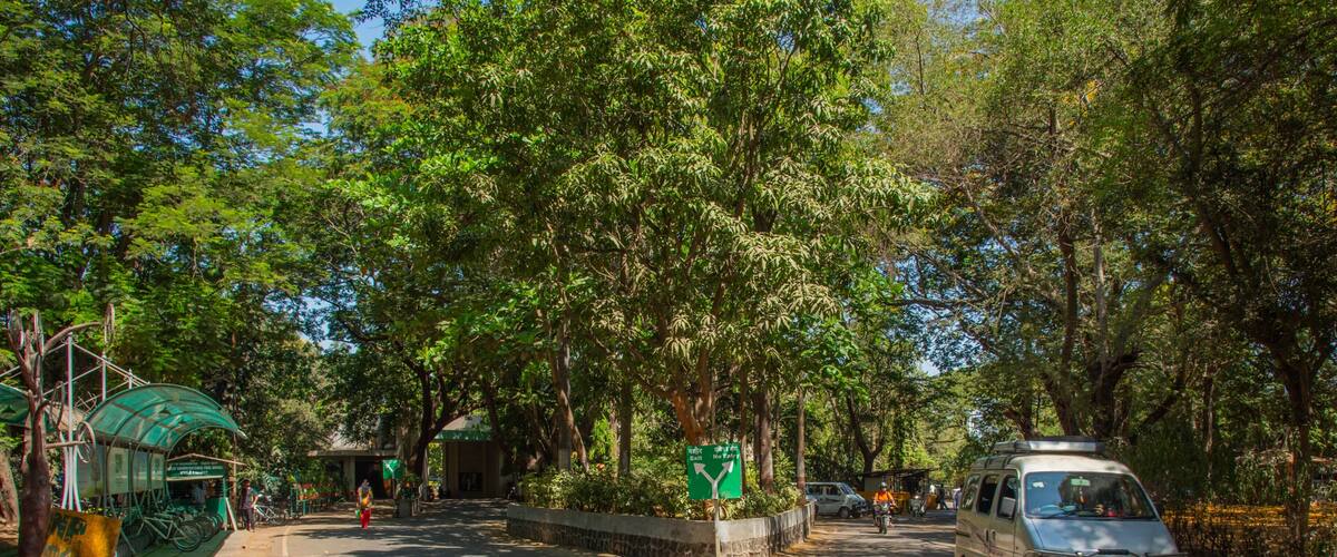 Sanjay Gandhi National Park featuring a garden