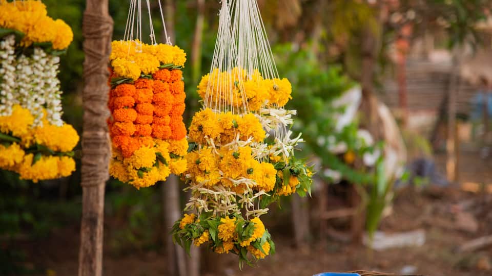Shivaji Park which includes flowers