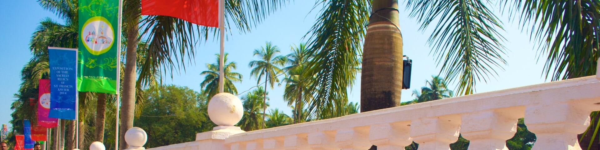 Basilica of Bom Jesus showing tropical scenes