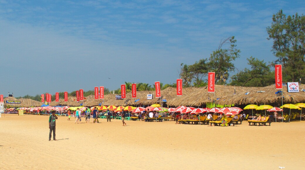 Spiaggia di Calangute che include bar sulla spiaggia e spiaggia sabbiosa