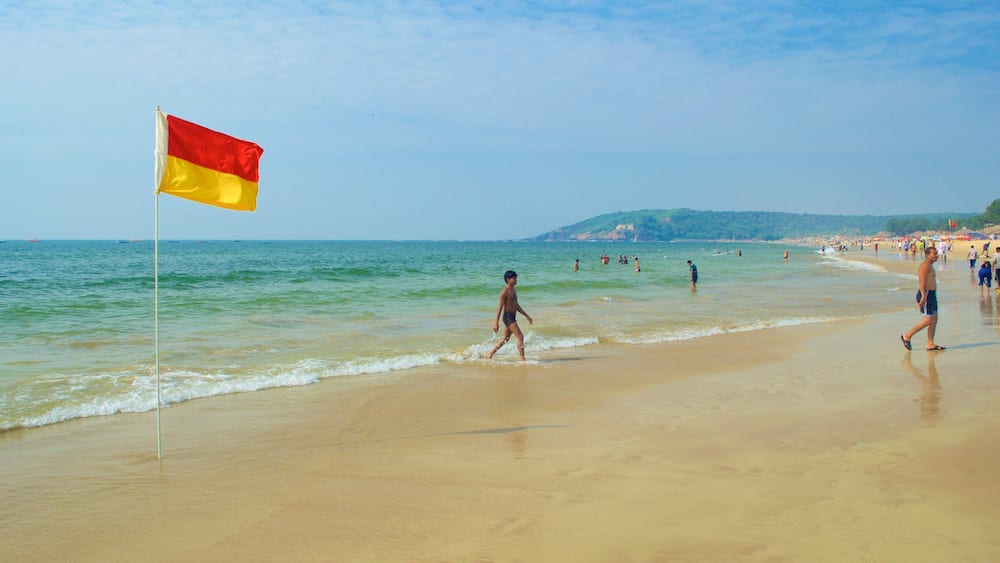 Calangute Beach showing general coastal views and a sandy beach