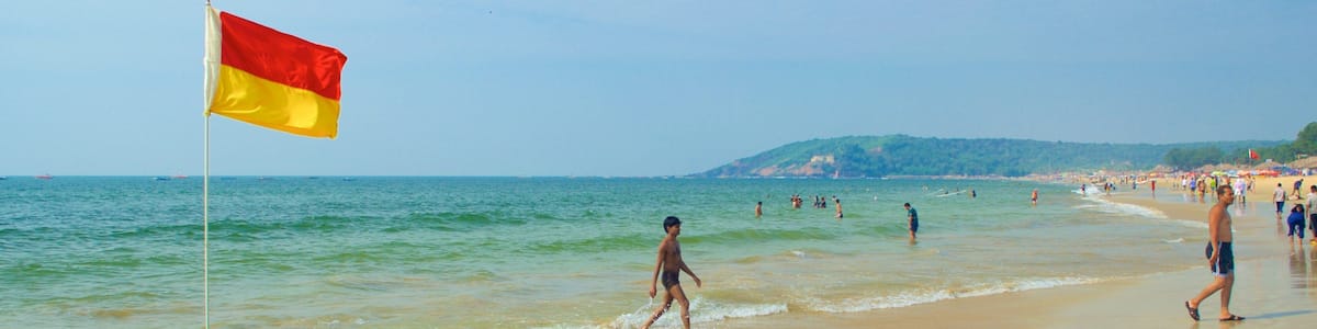 Calangute Beach showing general coastal views and a sandy beach