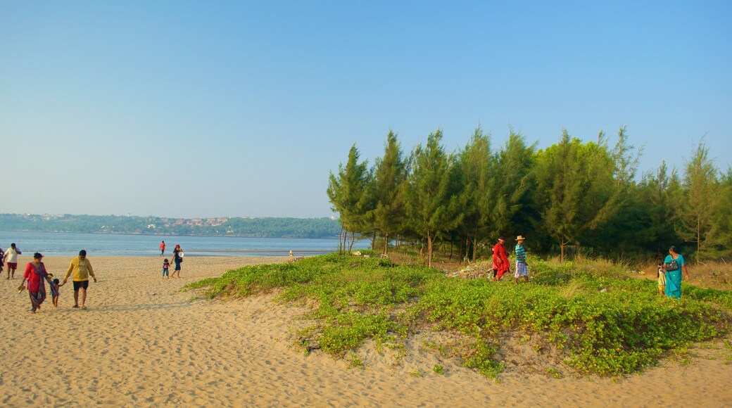 미라마르 해변 을 보여주는 모래 해변 과 일반 해안 전경