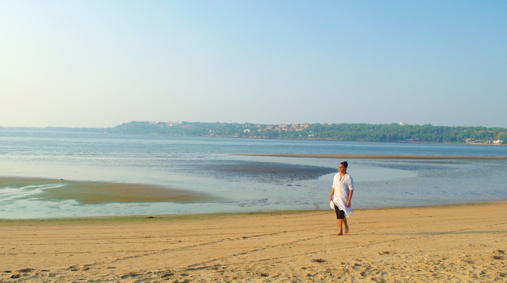 Miramar 海灘 设有 一般的海岸景觀 和 海灘 以及 一個女性