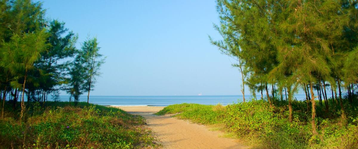 Miramar Beach which includes forests, general coastal views and a sandy beach