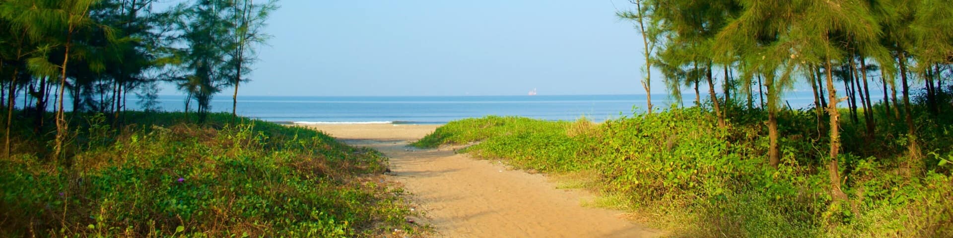 Miramar Beach which includes forests, general coastal views and a sandy beach