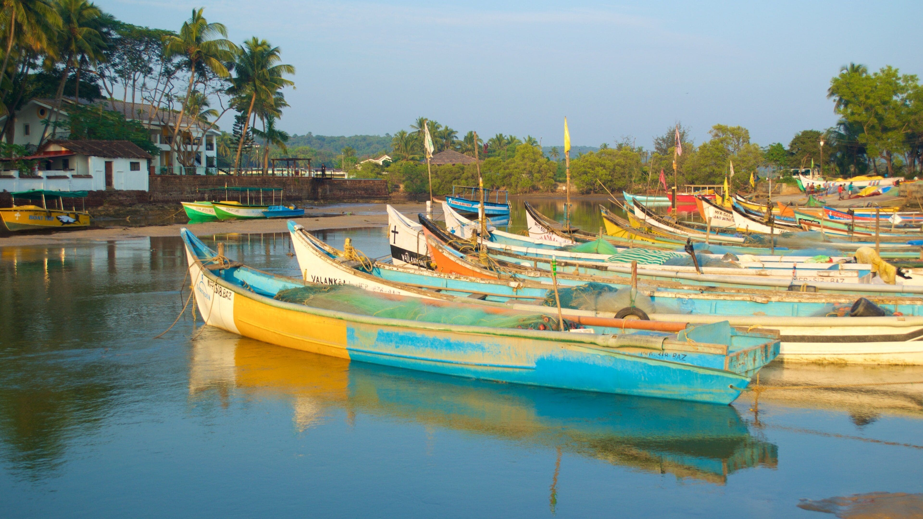 Baga Beach showing boating