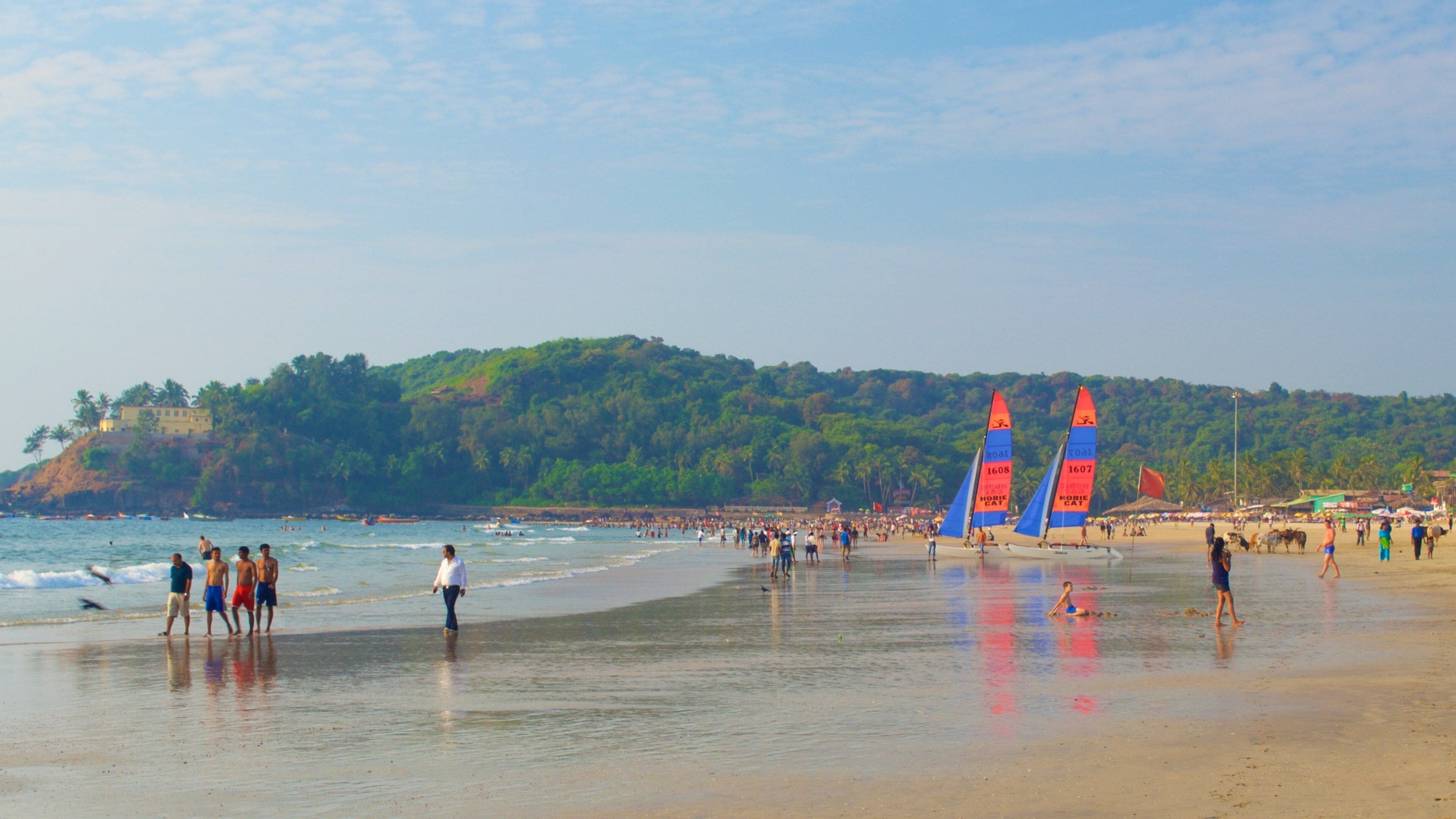 A beach with people, sailboats, and a hill with trees.