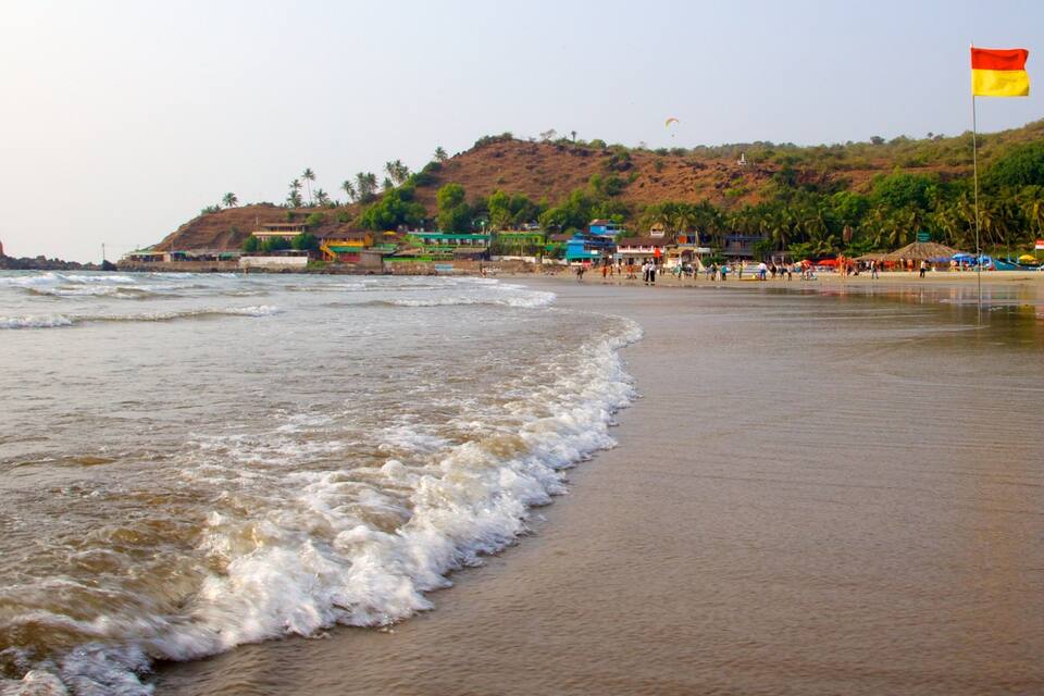 A beach with waves, a flag, and a hill with buildings and palm trees.