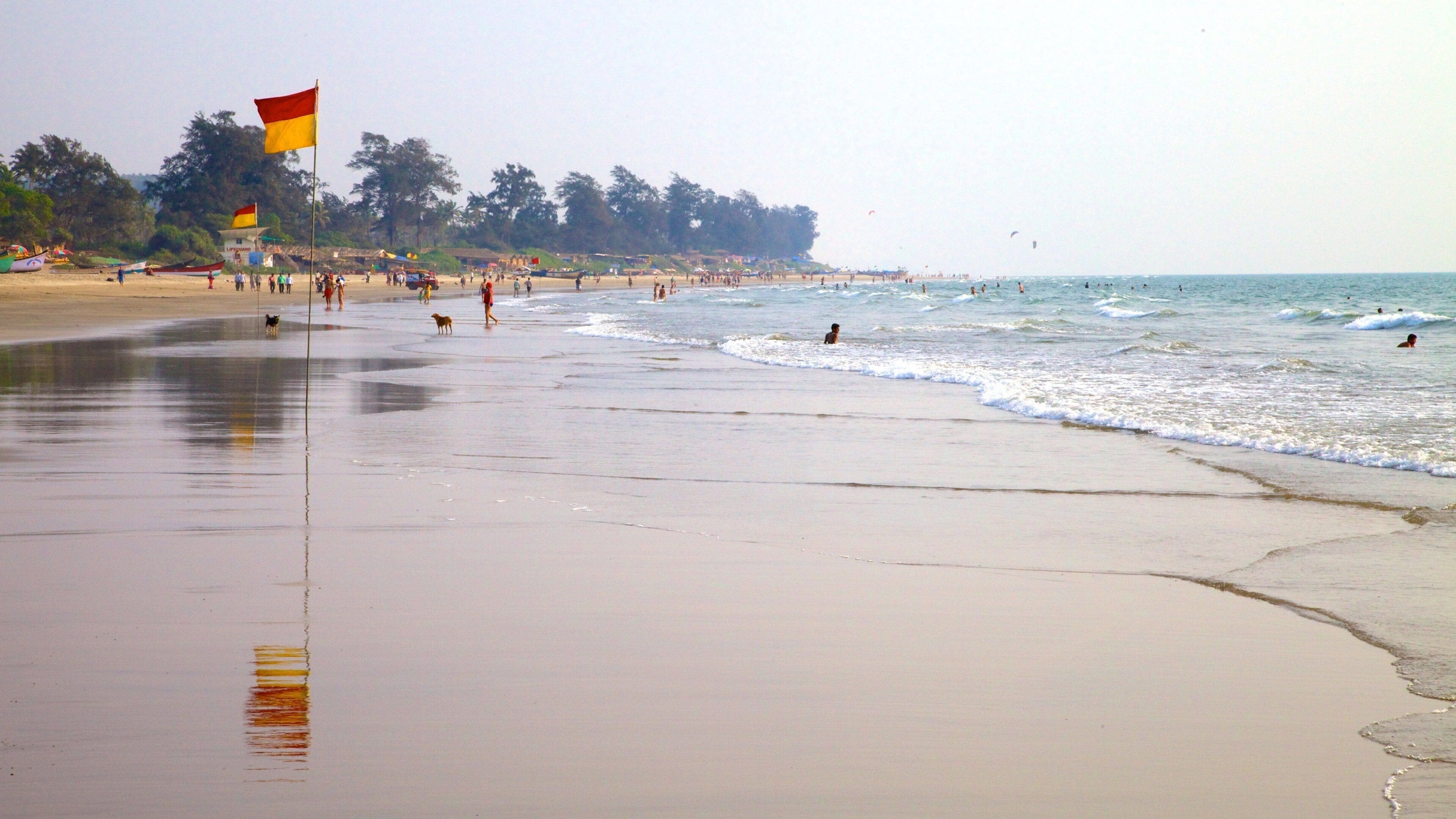 Arambol Beach which includes swimming, tropical scenes and landscape views