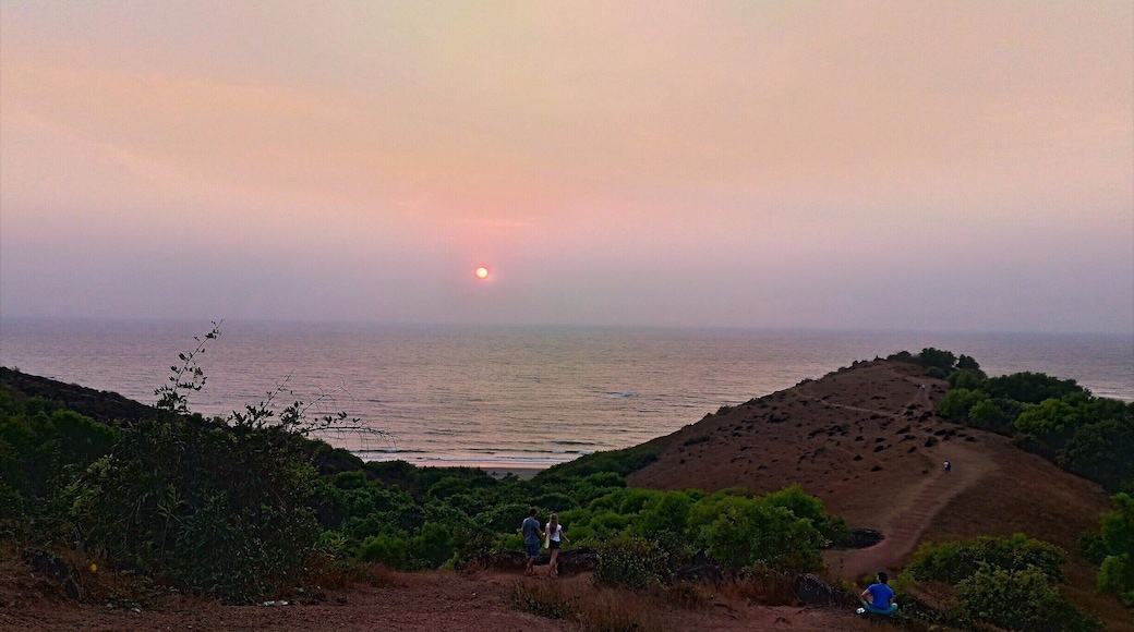 During evenings, Chapora Fort becomes a pathway leading us to the calmness and peace of the settling sun in a very scenic way.
Tip- Just find a perfect spot for yourself and leave the rest to the nature.