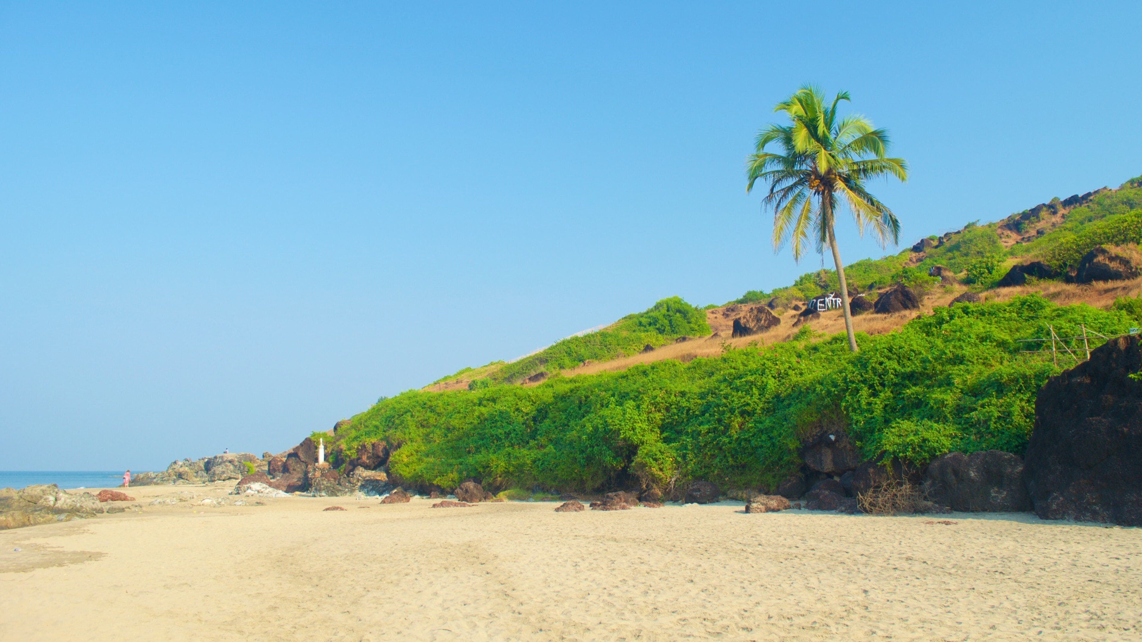 Ein Strand mit einer Palme, Felsen und einem Schild mit der Aufschrift 'ENTRANCE'.