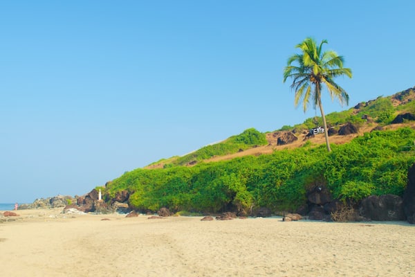 A beach with a palm tree, rocky outcrops, and a sign reading "ENTRANCE".