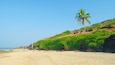 A beach with a palm tree, rocky outcrops, and a sign reading "ENTRANCE".