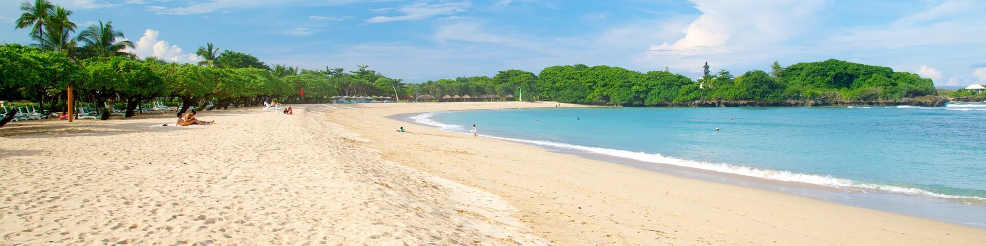 A sandy beach with palm trees and a clear blue sky.