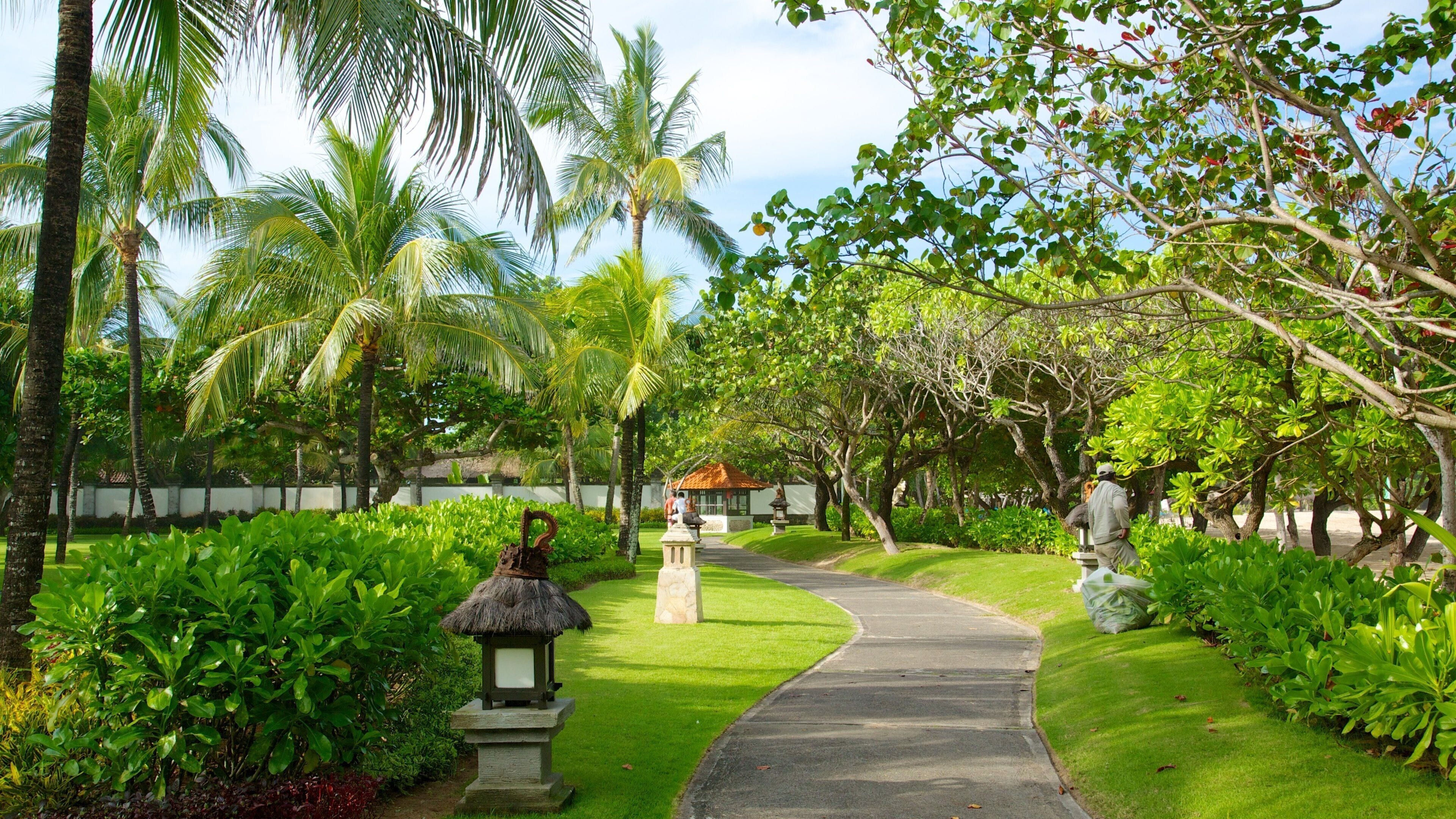 Nusa Dua Beach showing tropical scenes and a park