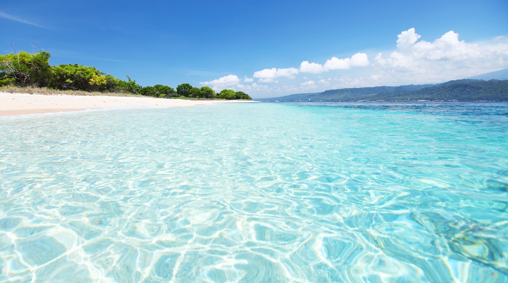 Sandy coast and clear sea of the Bali Barat National Park. Java island on the horizon (right); Shutterstock ID 100213352; Purchase Order: -
