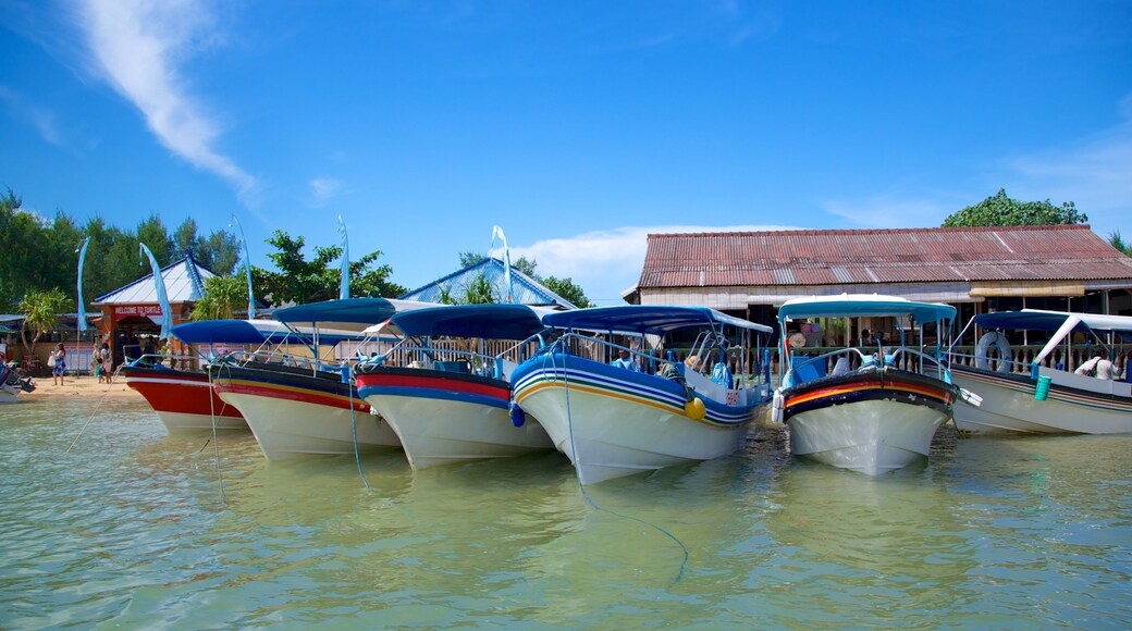 Turtle Island which includes boating, a coastal town and general coastal views