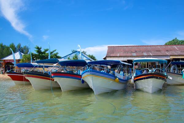 Turtle Island johon kuuluu yleiset rantanäkymät, rannikkokaupunki ja veneily