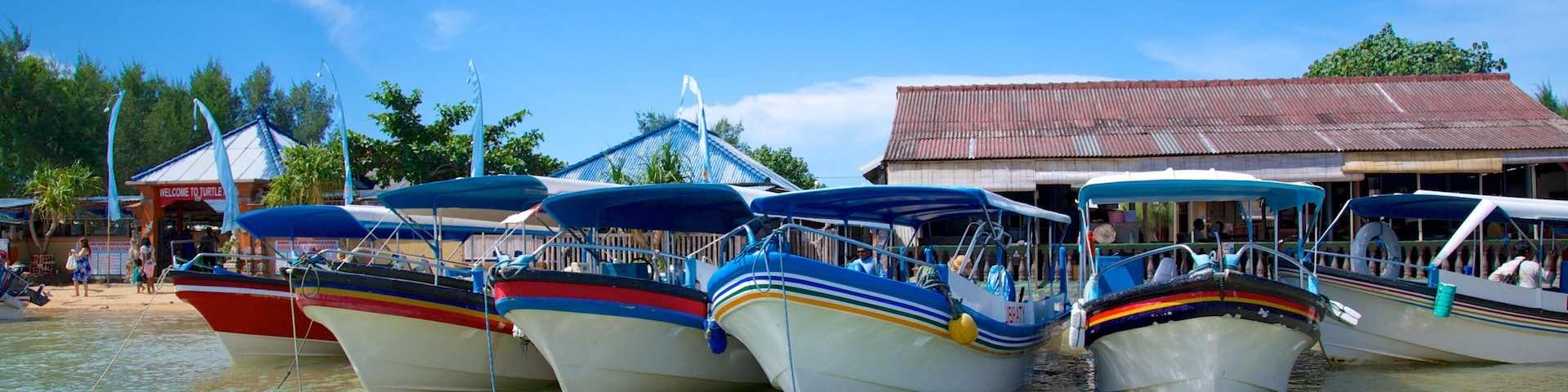 Ilha da Tartaruga caracterizando paisagens litorâneas, uma cidade litorânea e canoagem