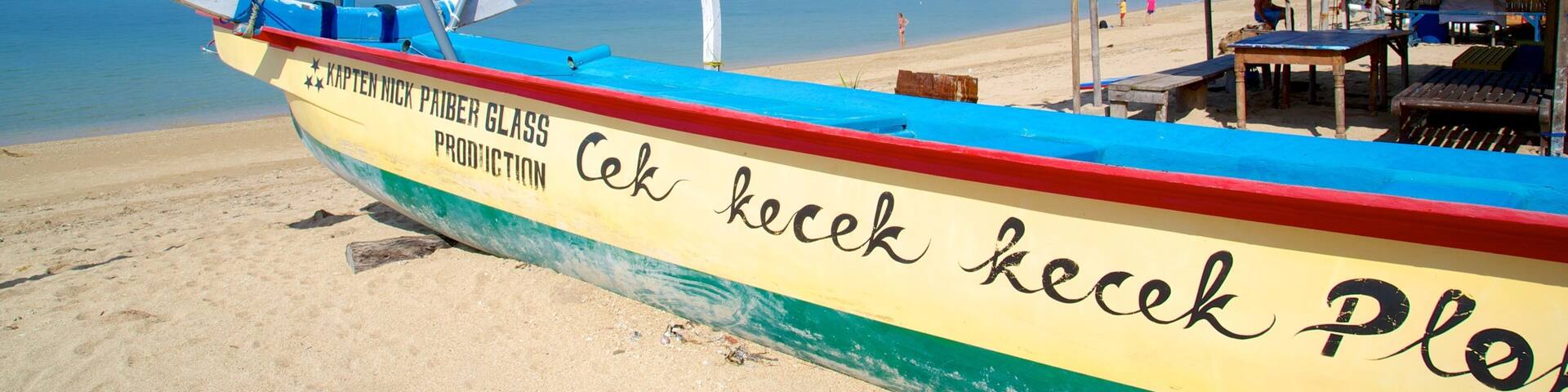 Sanur Beach showing a beach, tropical scenes and boating