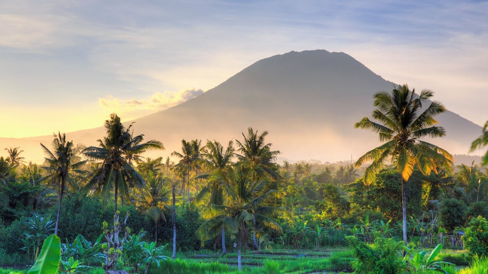 Indonesia, Bali, East Bali, Amlapura, Rice Fields and Gunung Agung Volcano