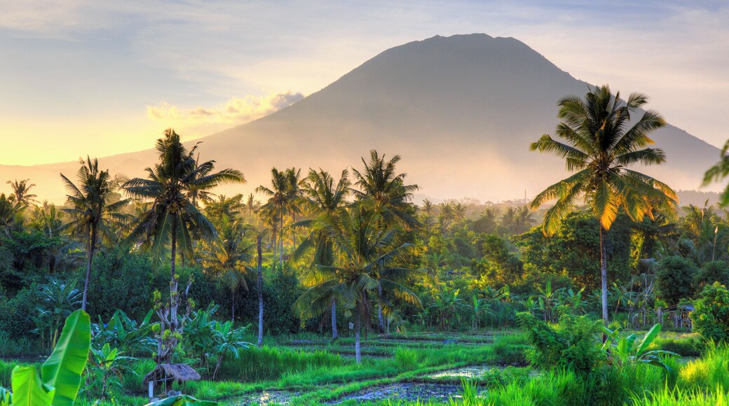 Indonesia, Bali, East Bali, Amlapura, Rice Fields and Gunung Agung Volcano