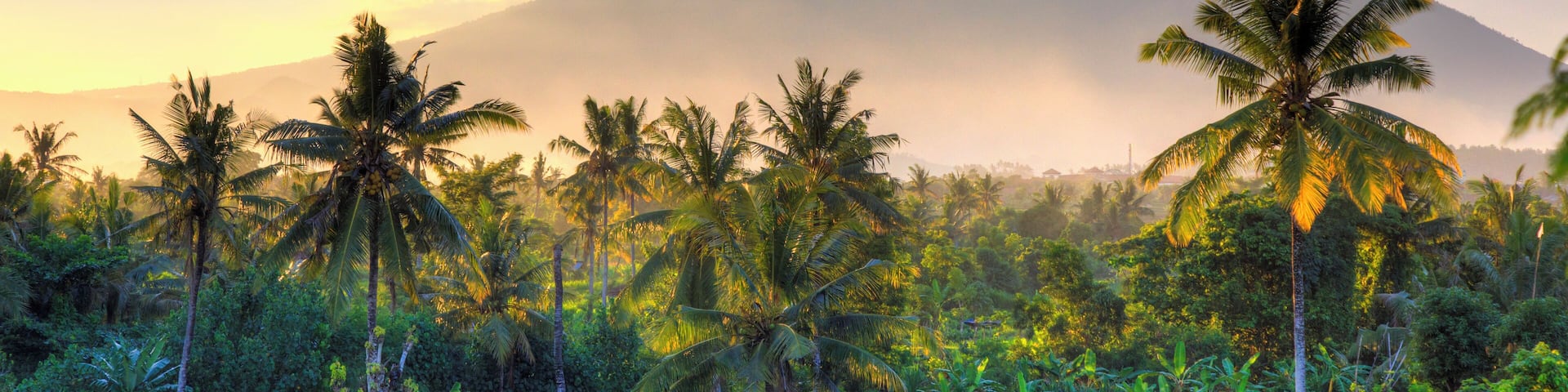 Indonesia, Bali, East Bali, Amlapura, Rice Fields and Gunung Agung Volcano