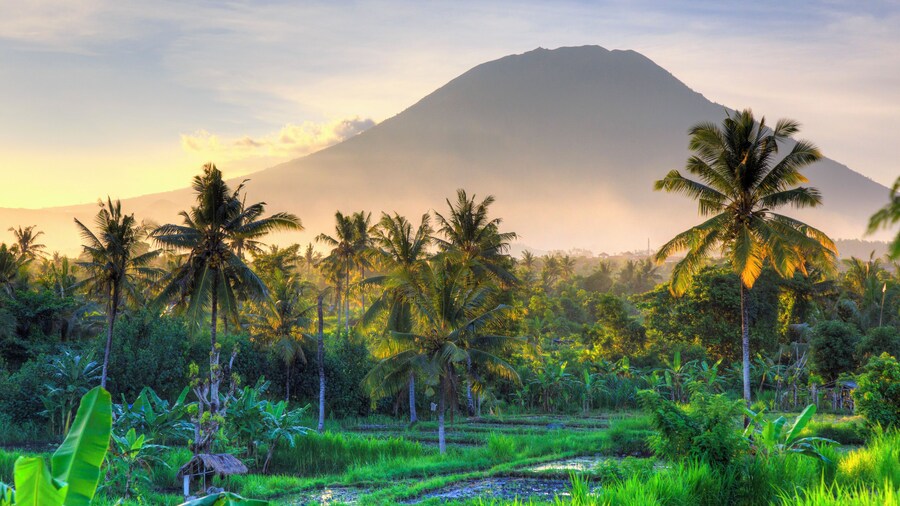 Indonesia, Bali, East Bali, Amlapura, Rice Fields and Gunung Agung Volcano
