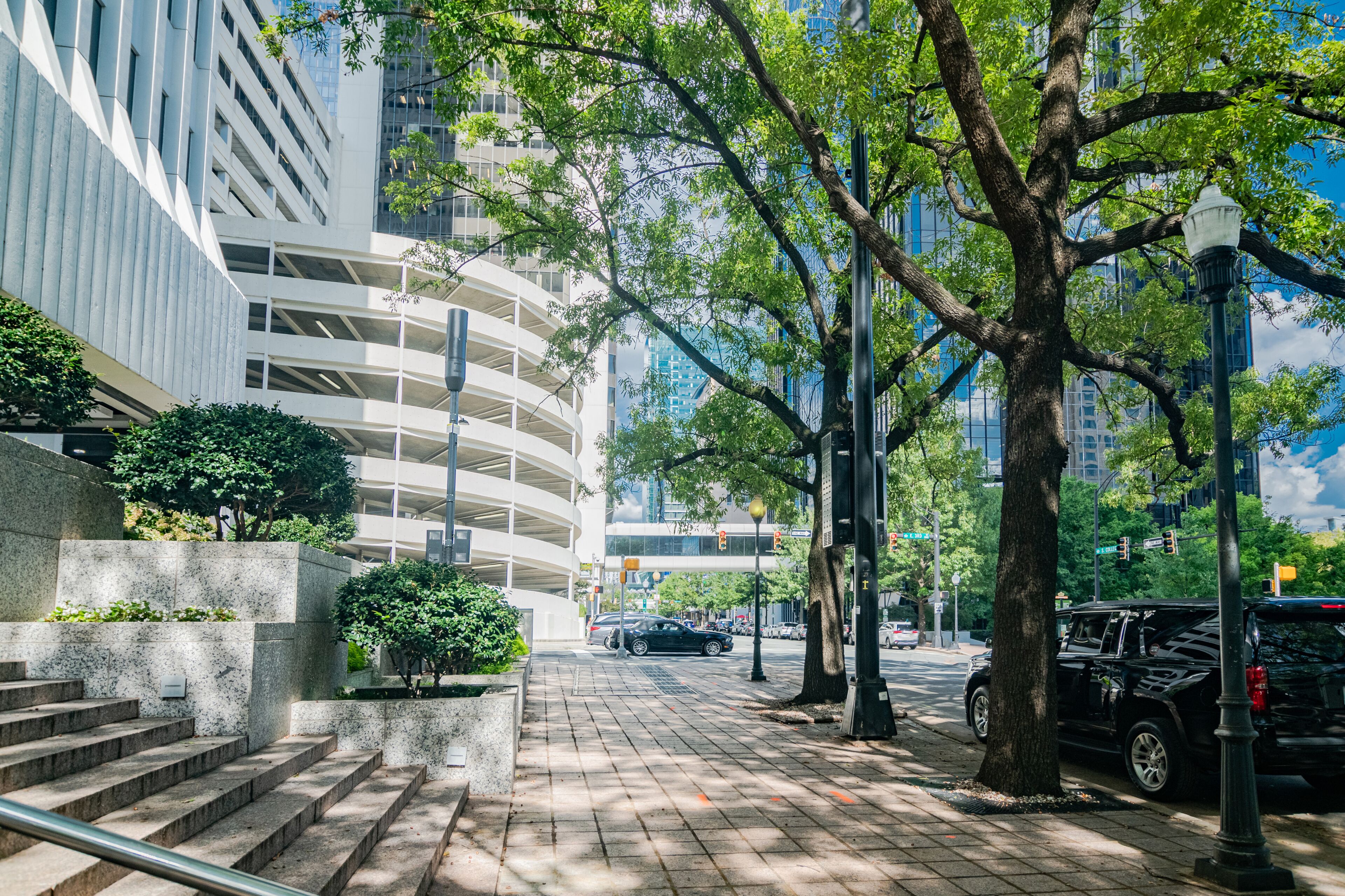 Shady streets and high-rise buildings in downtown Greensboro, USA.