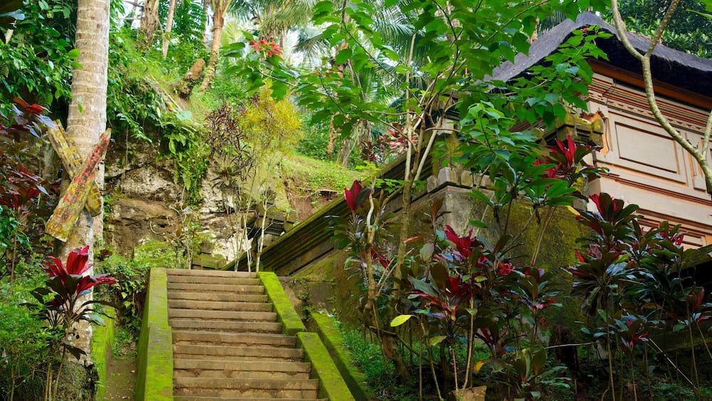Eine Steintreppe, umgeben von üppiger Vegetation und einem traditionellen Gebäude.