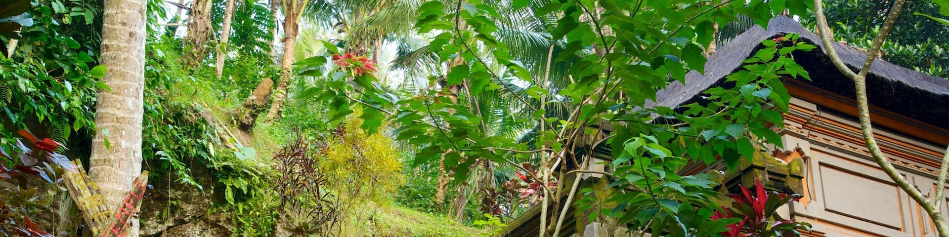 Caverna do Elefante mostrando floresta tropical e um templo ou local de adoração