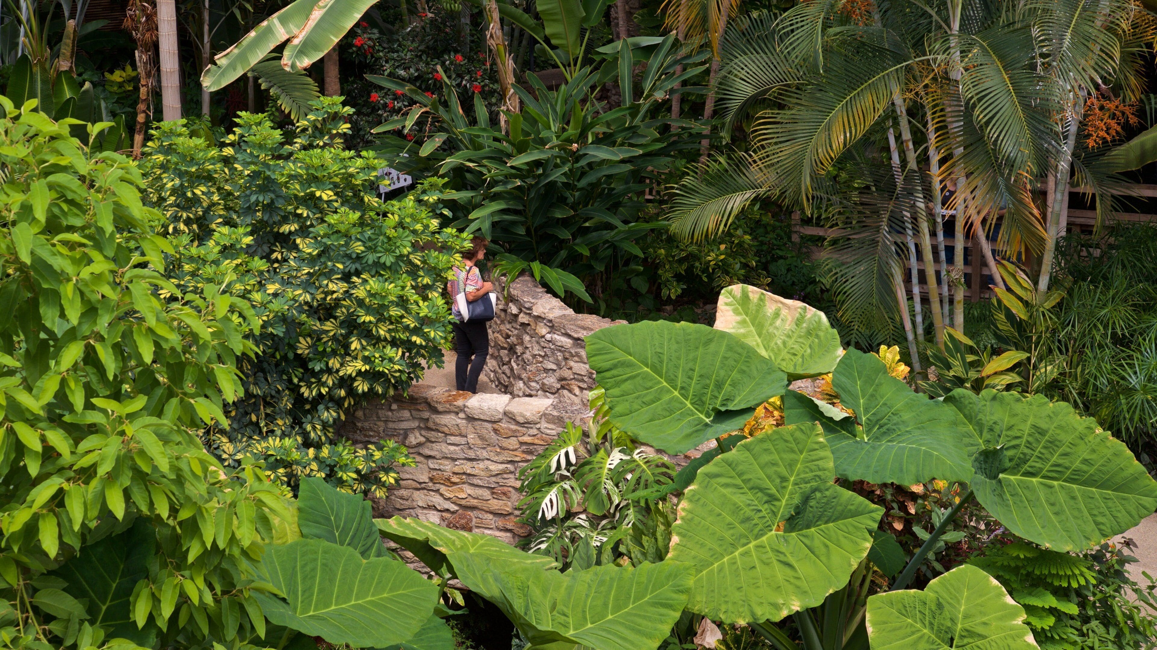 Des Moines Botanical Center which includes a garden as well as an individual femail