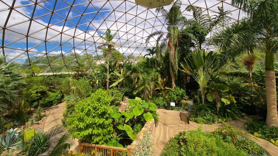 A greenhouse with a geodesic dome roof, tropical plants, and a sandy pathway.