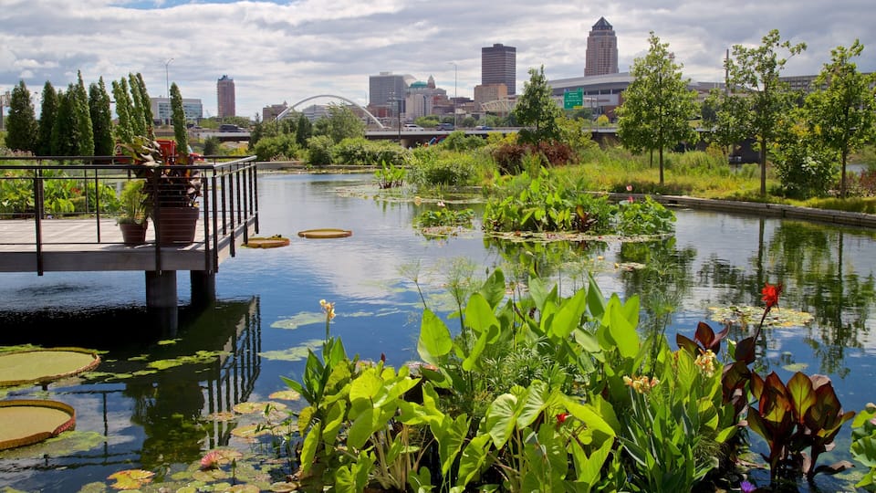 A cityscape with a river, a bridge, and a park with water lilies.