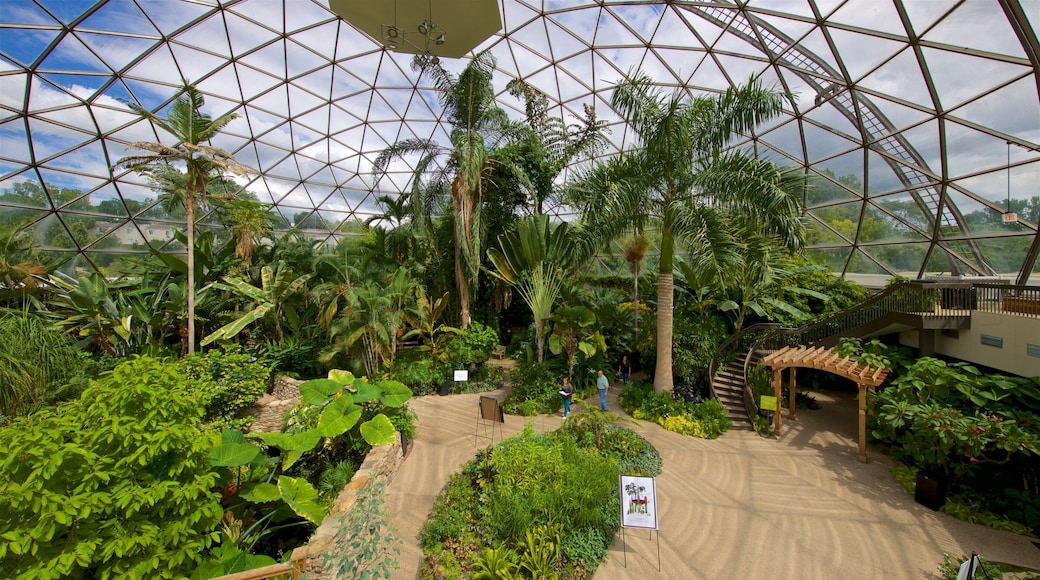 Des Moines Botanical Center que incluye un jardín y vistas de interior