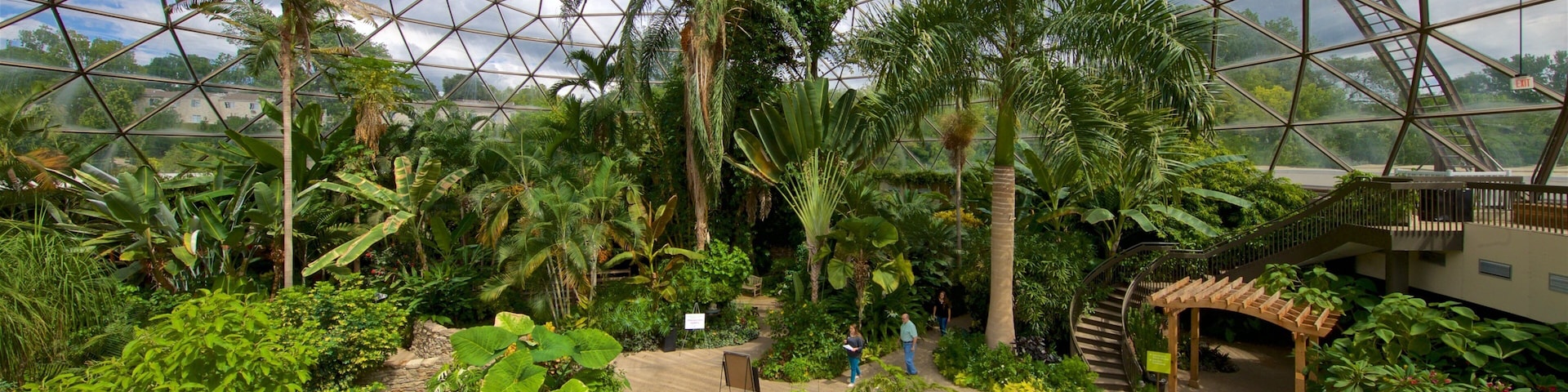 Des Moines Botanical Center mostrando vistas interiores y un jardín