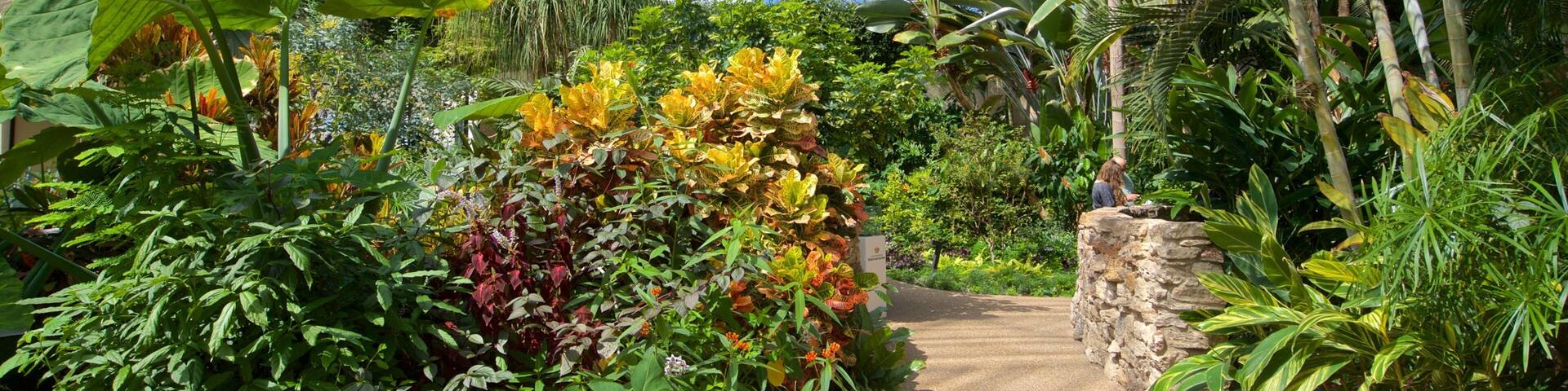 Des Moines Botanical Center ofreciendo un jardín y vistas interiores