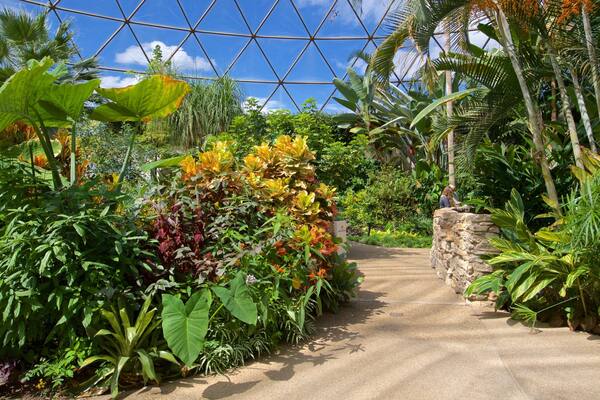 Des Moines Botanical Center mettant en vedette jardin et vues intérieures